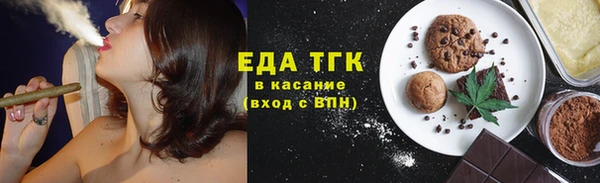 индика Верхний Тагил