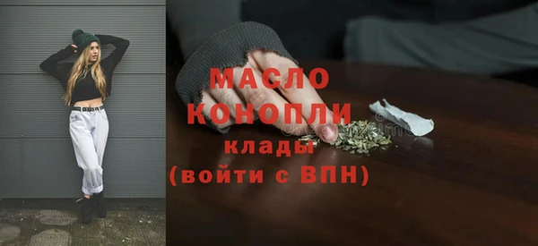 индика Верхний Тагил