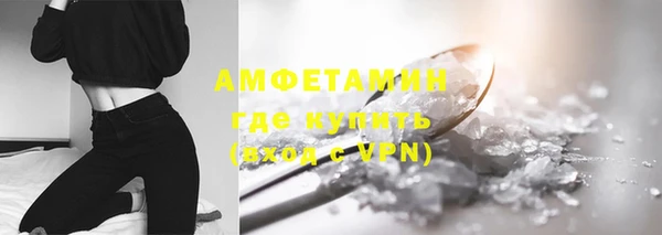 индика Верхний Тагил