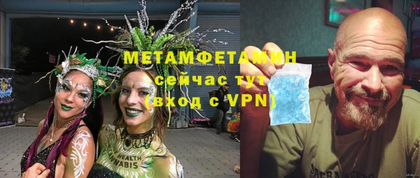 индика Верхний Тагил
