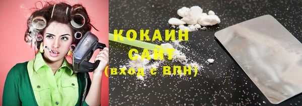 индика Верхний Тагил