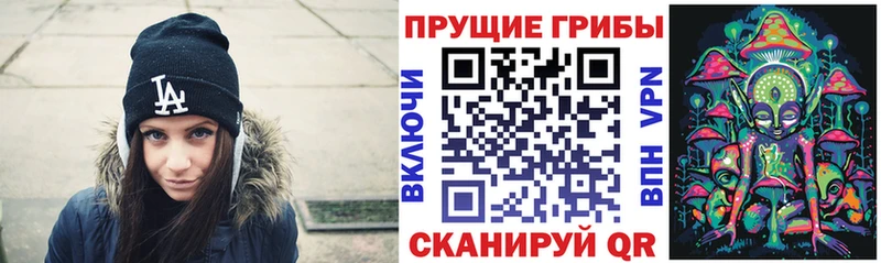 Галлюциногенные грибы Cubensis  hydra tor  Архангельск  даркнет сайт 